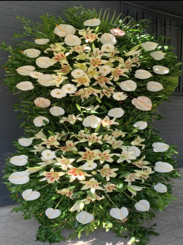 تاج گل 1090